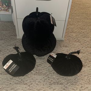 Black velvet pumpkin bundle